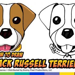 250x250 Dog Face Line Drawing Vector Step