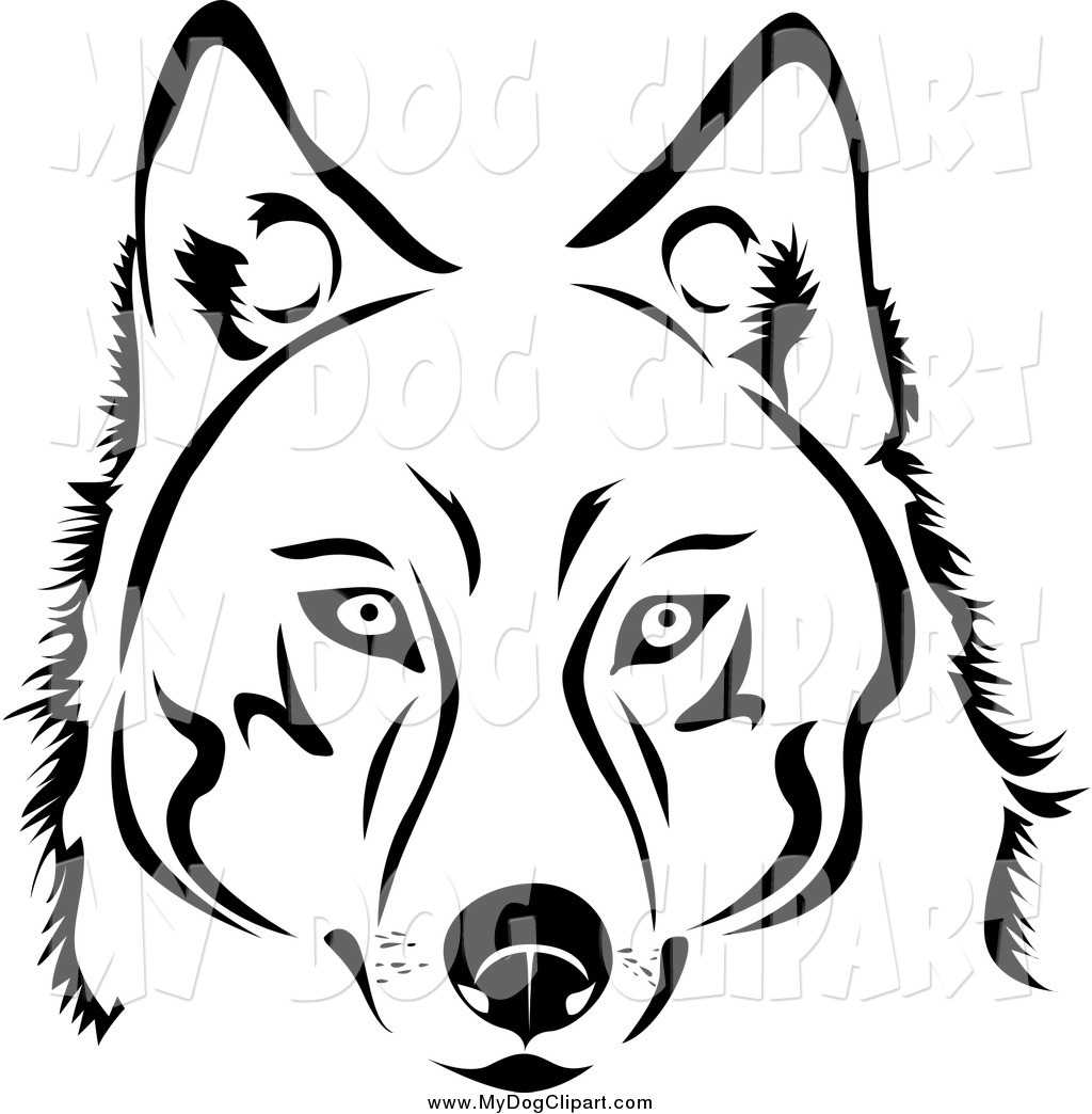 Husky Face Drawing