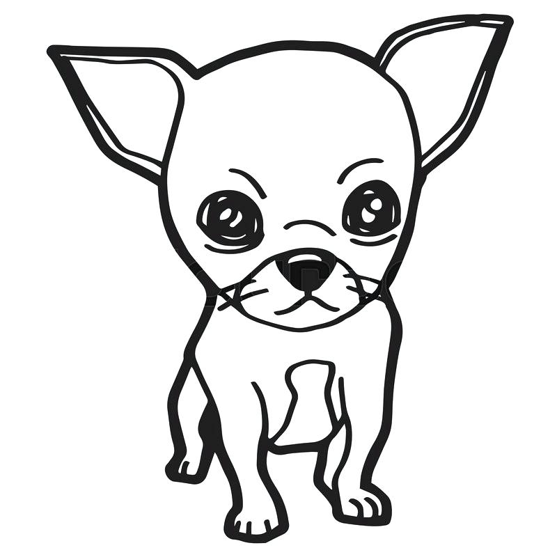 800x800 Dog Coloring Dog Coloring Pages Free Coloring