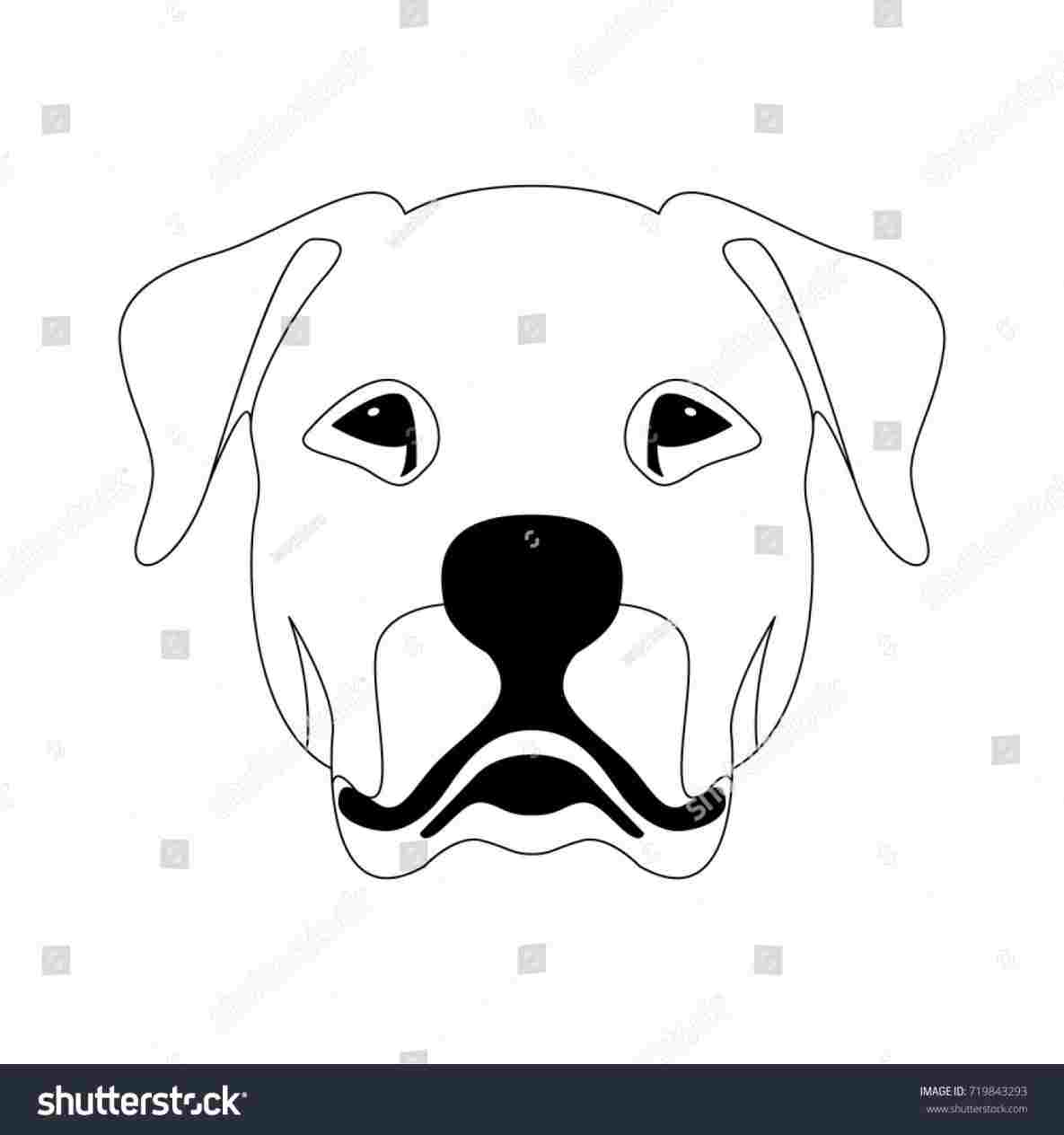 1185x1264 Line Drawing Dog Face