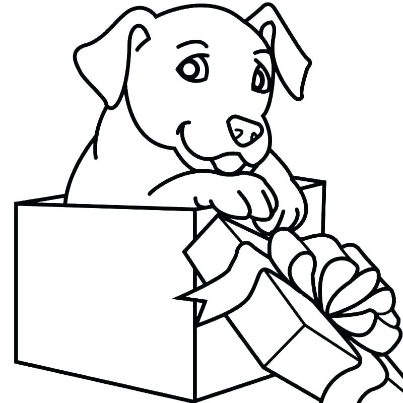 800x800 Husky Puppy Coloring Pages Puppies Cute Printable Bubble Guppies