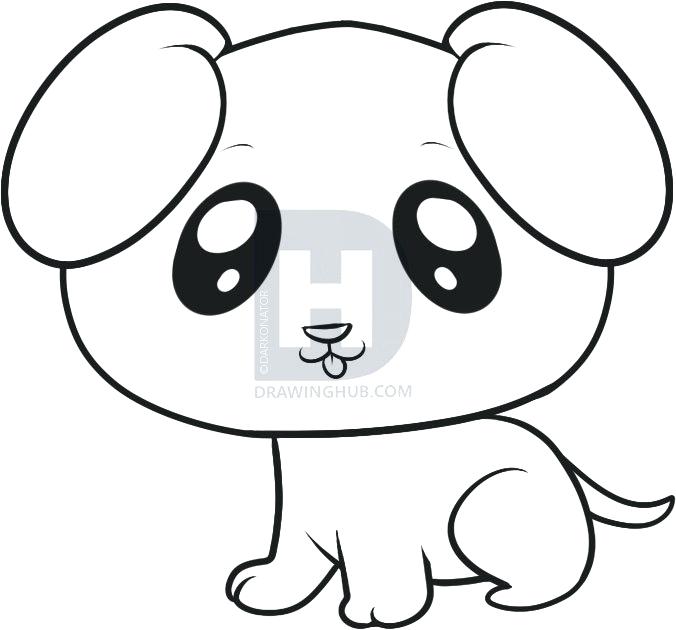 676x630 Puppy Drawings Step