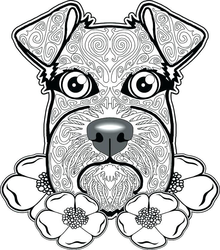 736x836 Pictures Of Coloring Dogs