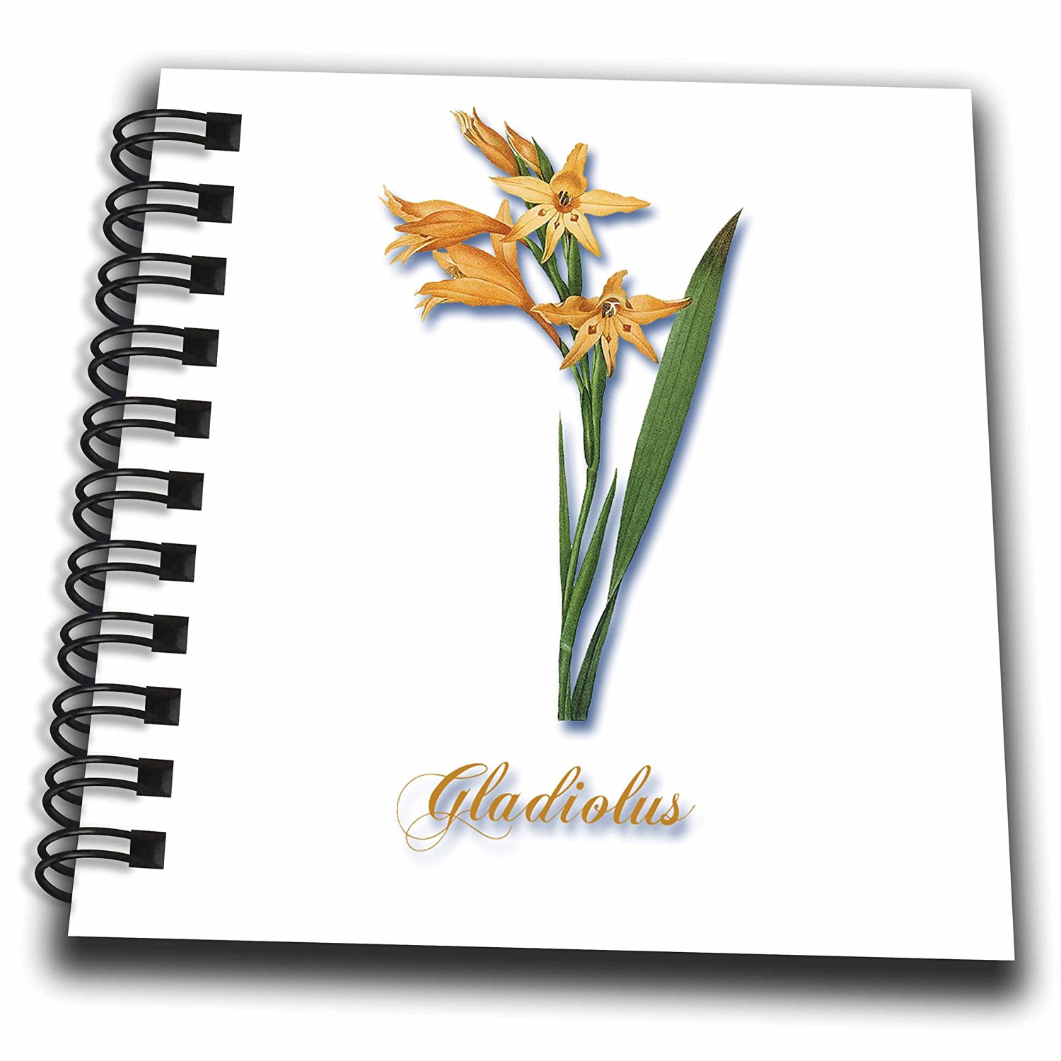 1500x1500 Buy Db Bln Flowers And Fruits