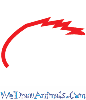 300x350 How To Draw A Hyacinth Macaw