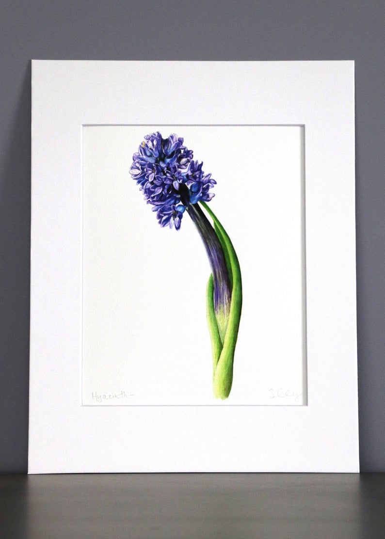 794x1112 Hyacinth Botanical Art Print Etsy