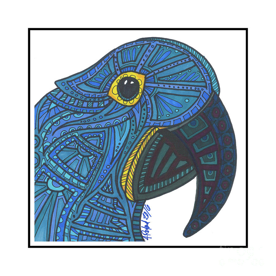 900x900 Hyacinth Macaw