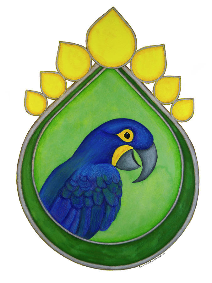 675x900 Hyacinth Macaw Drawing