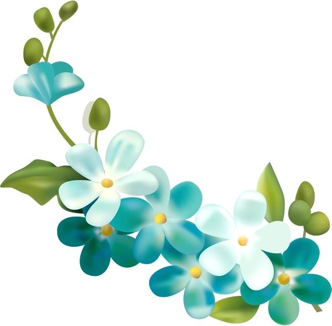 650x638 Pictures Of Drawn Flowers Hand Garden Hyacinth Ink Style Drawing