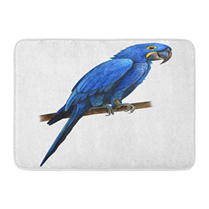 425x425 ptrfedss doormats bath rugs outdoorindoor door mat