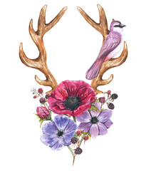 205x240 Beautiful Illustration With The Watercolor Anemone Flowers