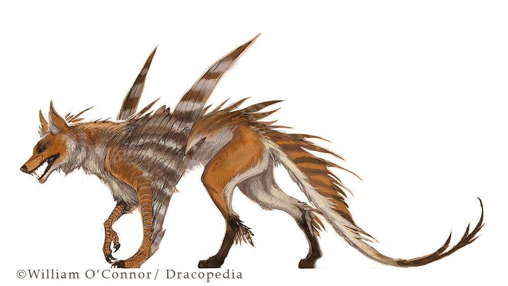 1000x563 The Dracopedia Project