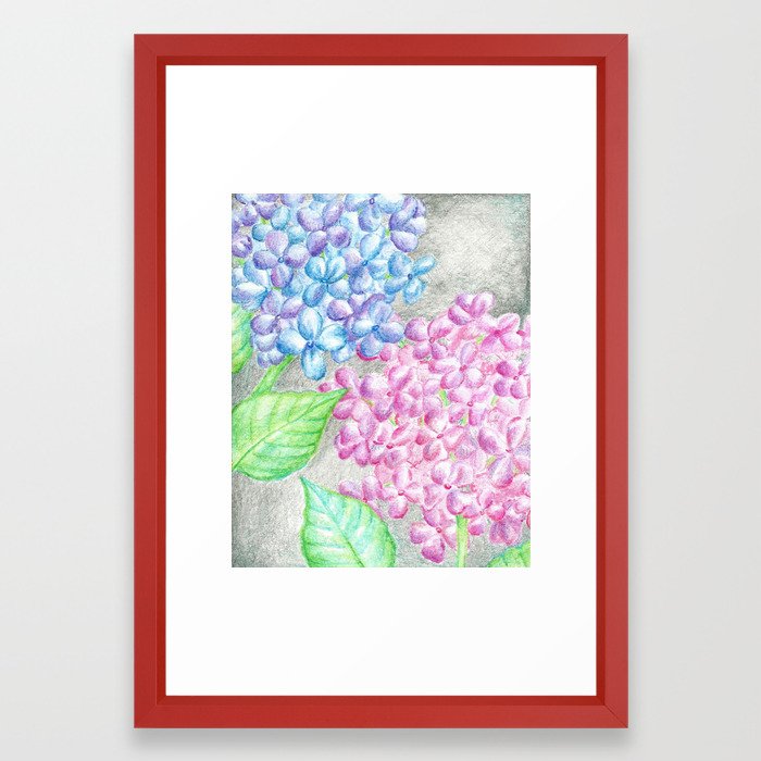 700x700 flower drawing, watercolor painting, hydrangea framed art print