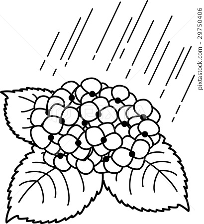 410x450 Hydrangea Rain Black And White Line Drawing Coloring Picture
