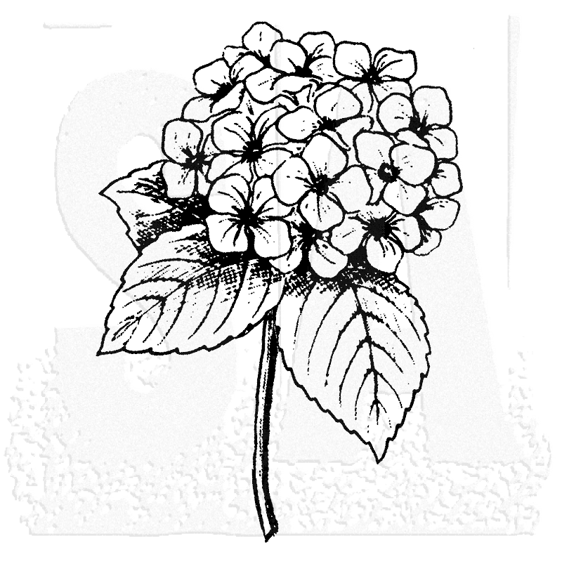 800x800 Favorite Craft Projects Hydrangea, Stamp