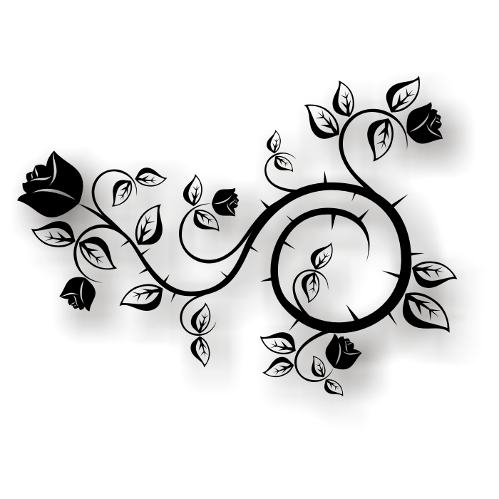 700x700 drawing vector hydrangea for free download