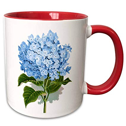 425x425 Inspirationzstore Vintage Art