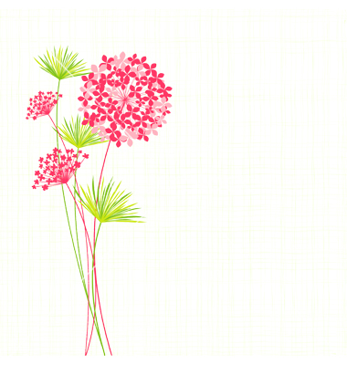 Hydrangea Flower Drawing