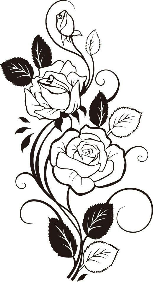518x954 Line Art Drawing Outline Flower Design