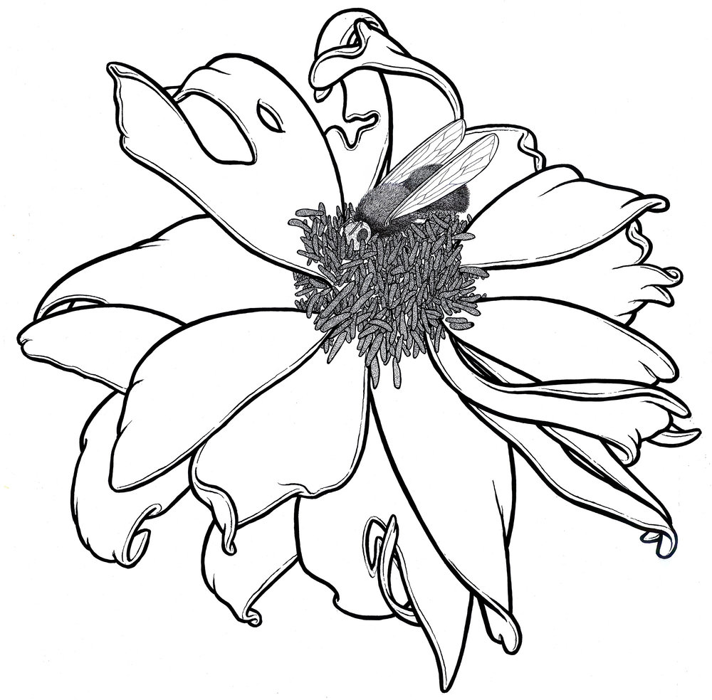 1000x984 Botanicals Scott Teplin