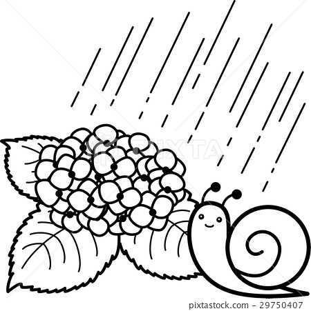 450x451 Hydrangea Rain Snail Black And White Line Drawing Coloring Picture