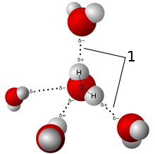 220x218 hydrogen bond