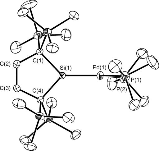 512x486 ortep drawing of palladium complex hydrogen atoms are omitted
