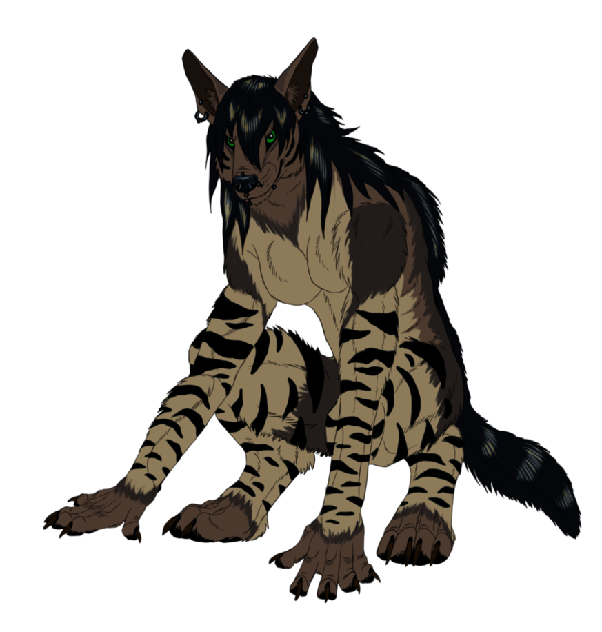 873x916 Collection Of Free Hyena Drawing Male Download On Ui Ex