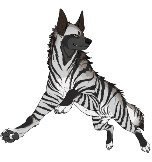 500x533 Collection Of Free Hyena Drawing Striped Download On Ui Ex