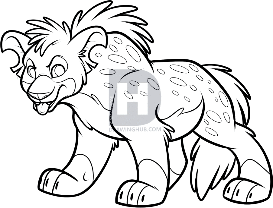 903x690 How To Draw A Cartoon Hyena, Step