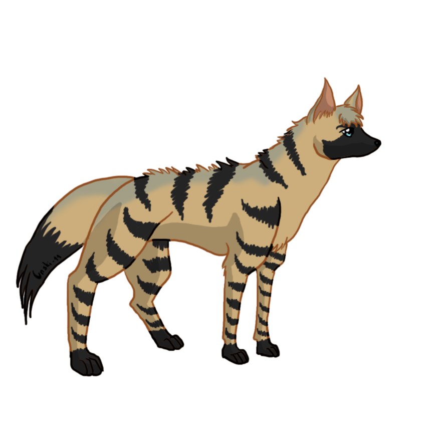 894x894 Collection Of Free Hyena Drawing Aardwolf Download On Ui Ex