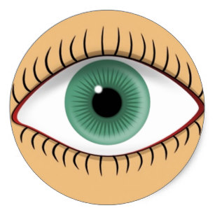 307x307 Realistic Eye Stickers Zazzle