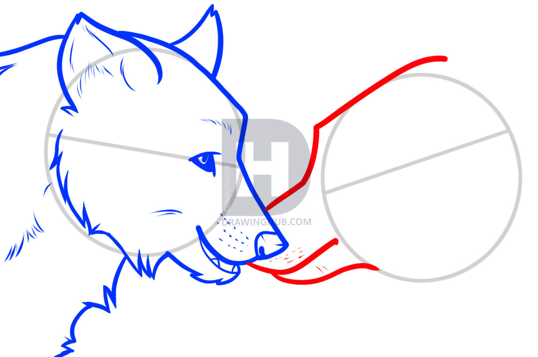 1080x717 How To Draw Wolf Love, Wolf Love, Step
