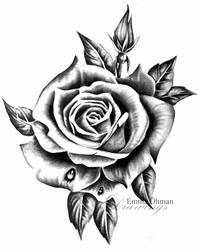 199x250 Drawings Black And White