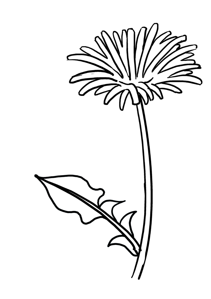 848x1200 Easy Drawing Guides On Twitter Would You Like To Draw