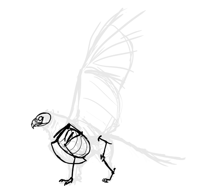 700x631 How To Draw A Griffin