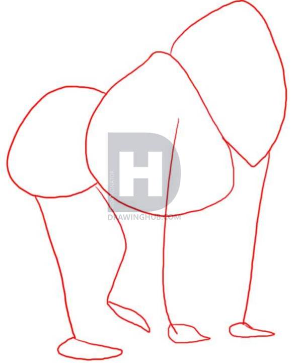 582x720 how to draw a baboon, step