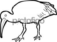 200x149 industry specific freehand image