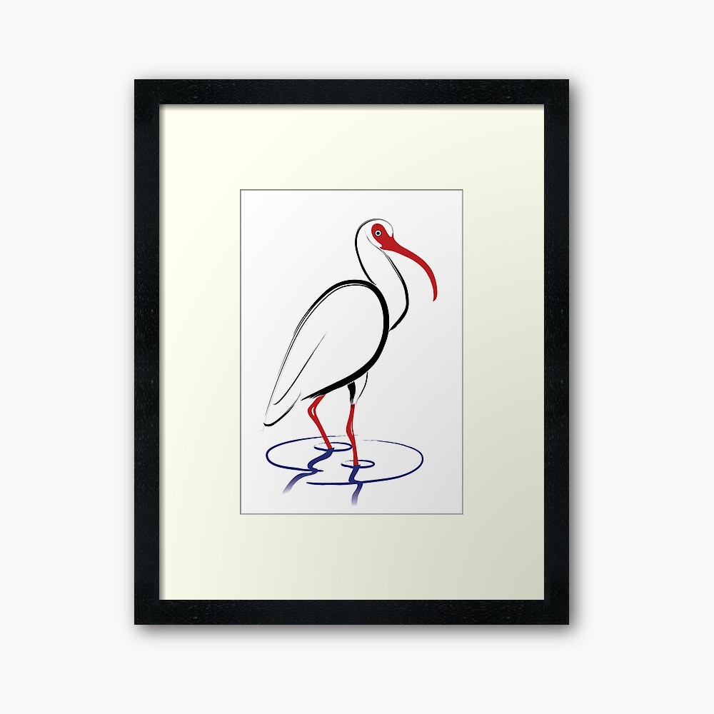 1000x1000 White Ibis Drawing Framed Art Print