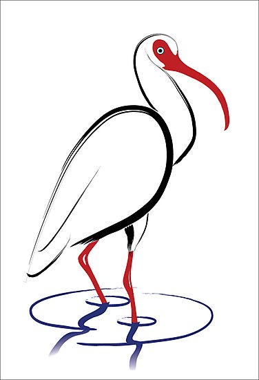 376x550 White Ibis Drawing Photographic Print