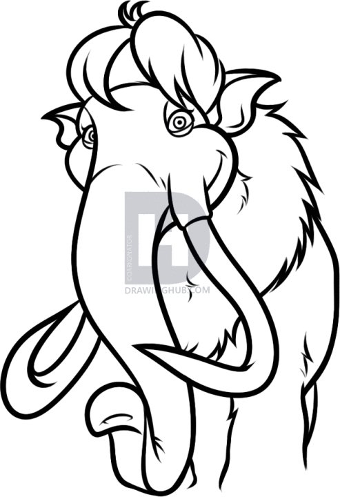 493x720 How To Draw Ellie From Ice Age Step