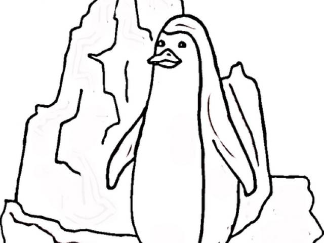 640x480 Iceberg Clipart Swimming