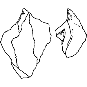 300x300 framework thumbnail