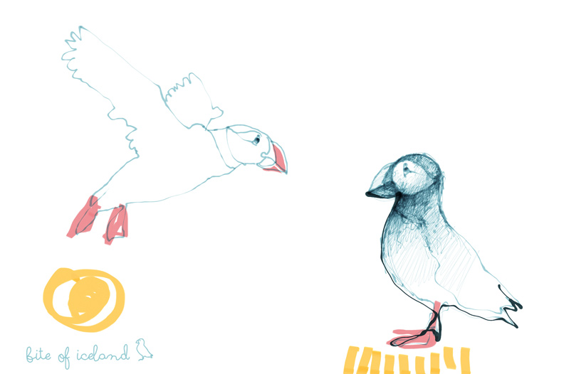 792x526 The World's Best Photos