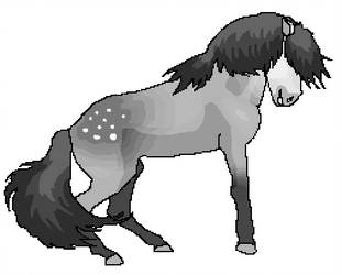 311x250 Tolt Explore Tolt