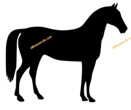 260x220 Download Jumping Horse Outline Drawing Clipart Icelandic Horse