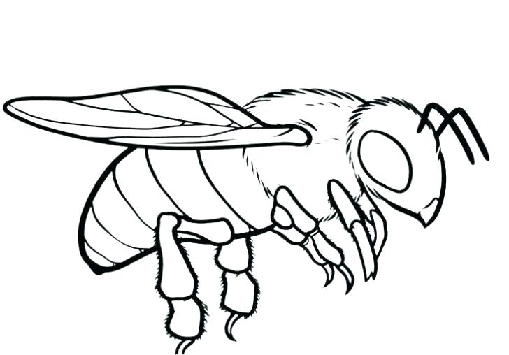 728x508 Coloring Pages Draw A Bee