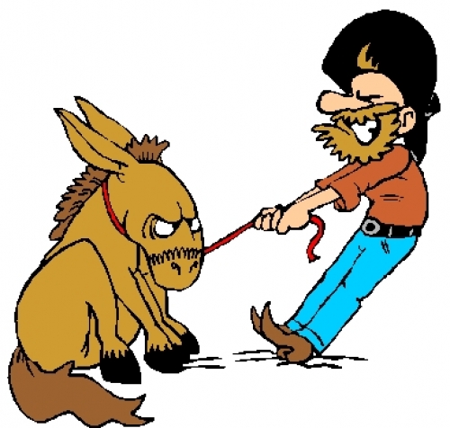 500x476 A List Of Animal Idioms From A To Z With Meanings