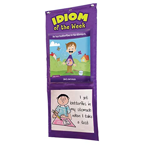 466x466 Educational Insights Idiom Of The Week Pocket Chart