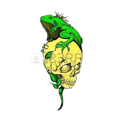 450x450 Drawings Of Iguanas Collection Of Easy A Lizard High A Iguana